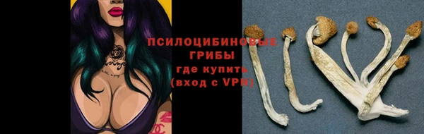 гидропоника Балахна