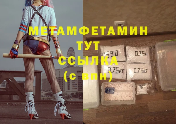 прущие грибы Баксан