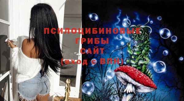 прущие грибы Баксан