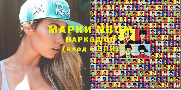 прущие грибы Баксан