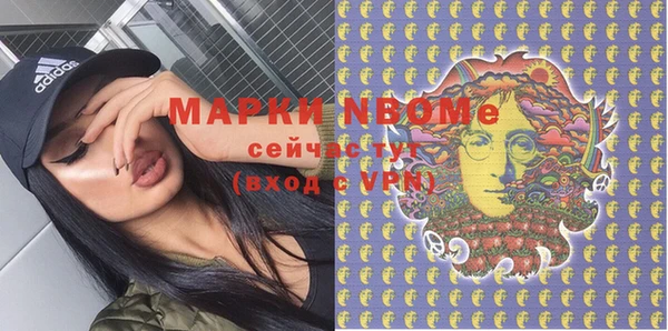 прущие грибы Баксан