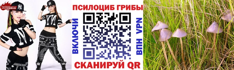даркнет какой сайт Зеленогорск Галлюциногенные грибы мухоморы