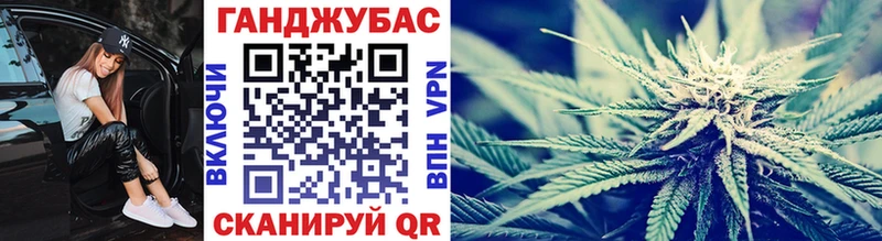 Марихуана сатива  Зеленогорск 